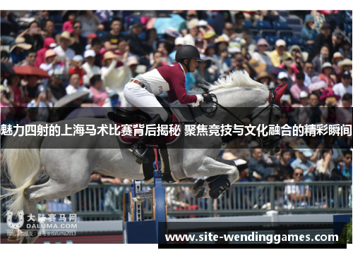 魅力四射的上海马术比赛背后揭秘 聚焦竞技与文化融合的精彩瞬间